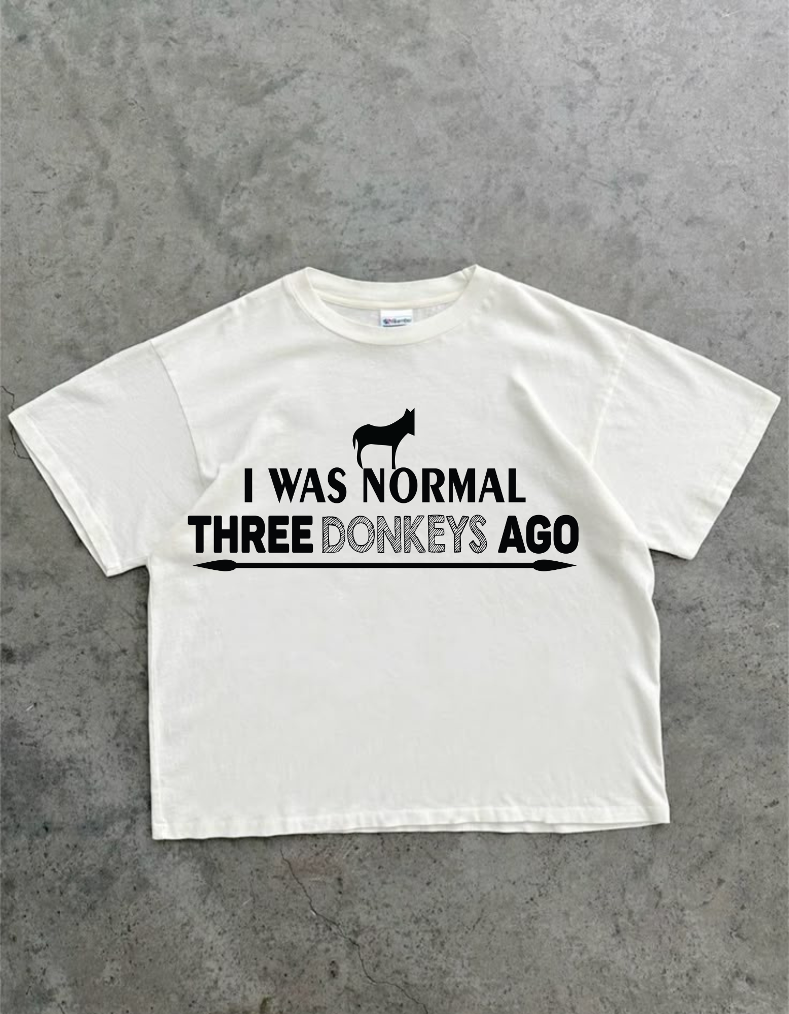 I Was Normal  – Oversized T-Shirt
